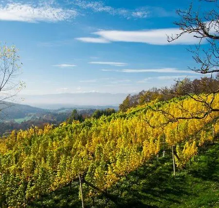 Weingartenhotel Harkamp Suedsteiermark 3*