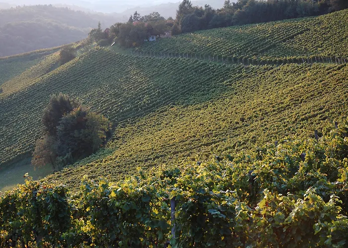 Weingartenhotel Harkamp Suedsteiermark 3* Sankt Nikolai im Sausal