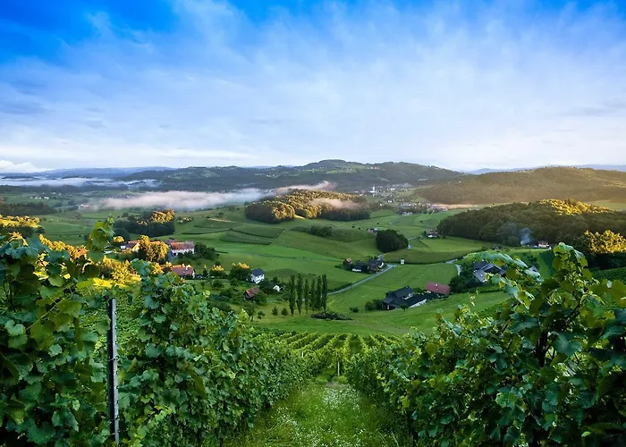 فندق Weingartenhotel Harkamp Suedsteiermark Sankt Nikolai im Sausal