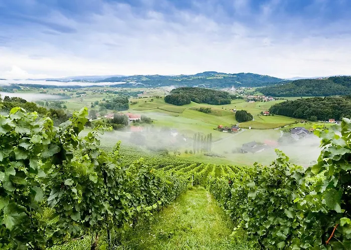 فندق Weingartenhotel Harkamp Suedsteiermark 3*