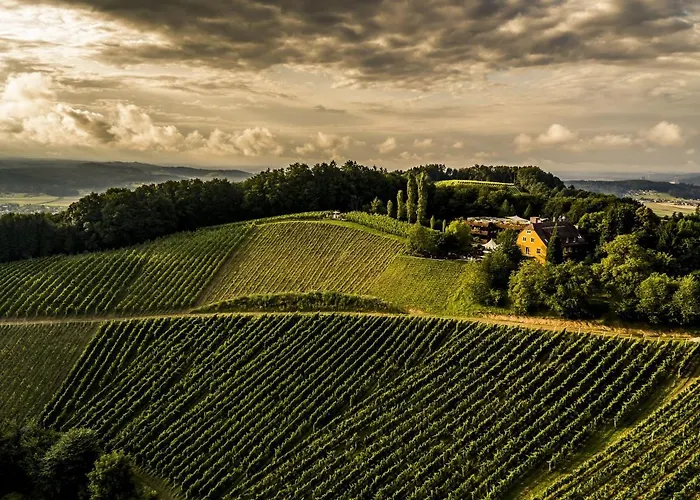 Weingartenhotel Harkamp Suedsteiermark Sankt Nikolai im Sausal