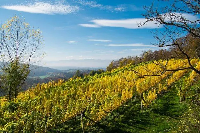 Weingartenhotel Harkamp Suedsteiermark 3*