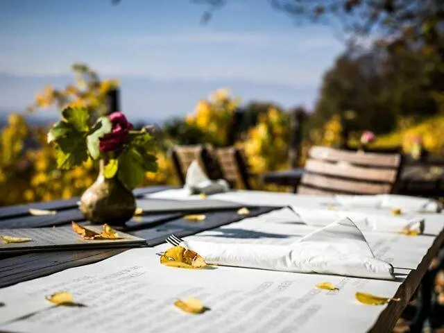 فندق Weingartenhotel Harkamp Suedsteiermark Sankt Nikolai im Sausal